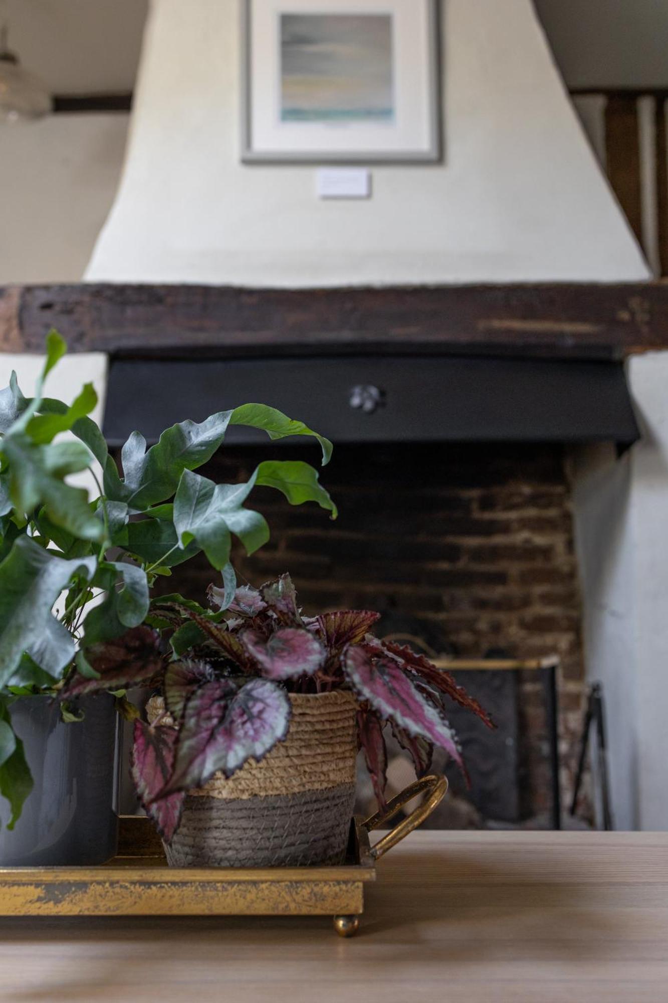 Saltmarsh Farmhouse Westdean エクステリア 写真