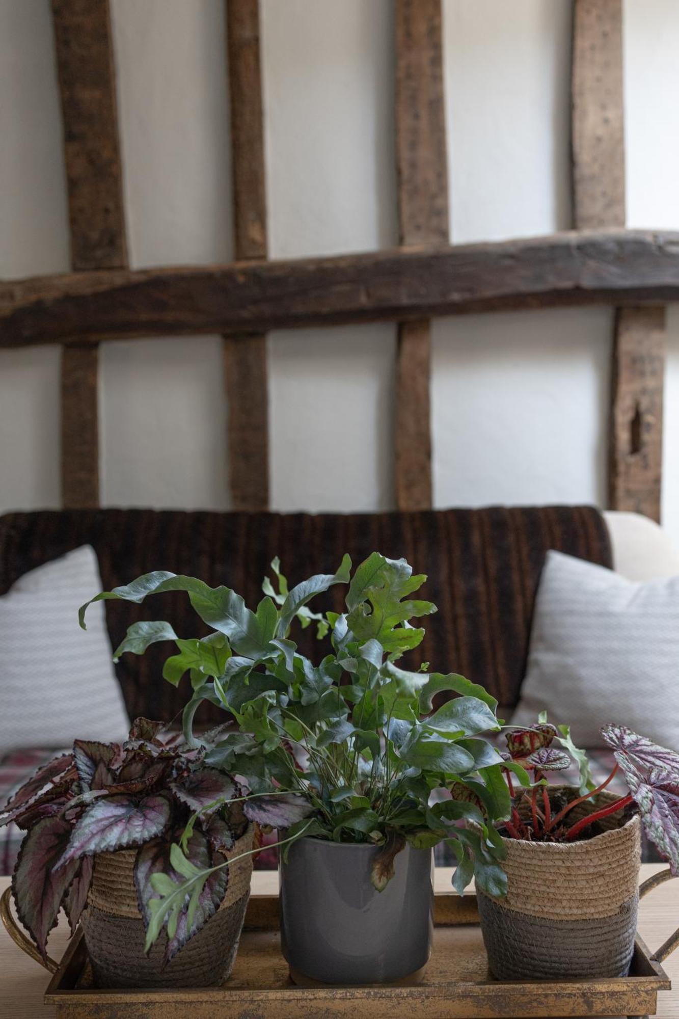 Saltmarsh Farmhouse Westdean エクステリア 写真