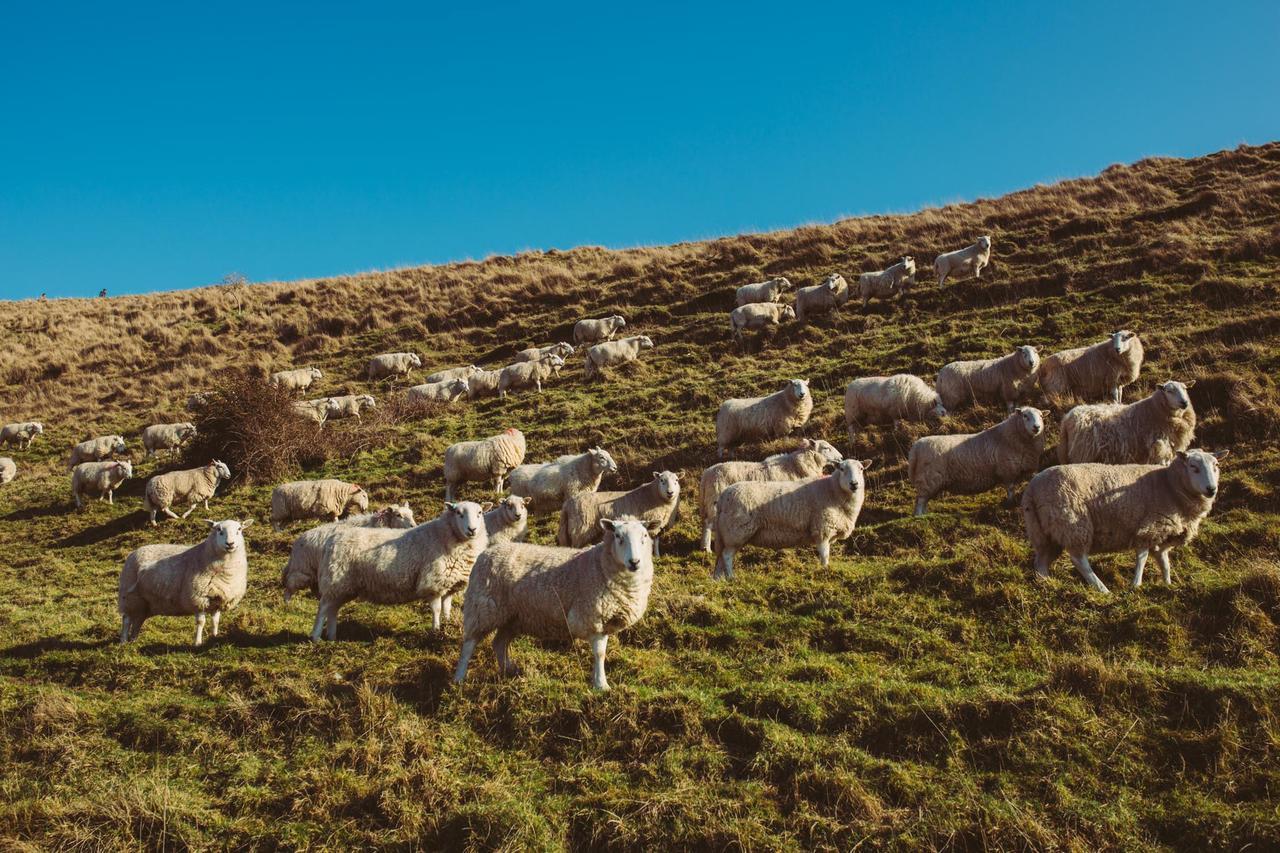 Saltmarsh Farmhouse Westdean エクステリア 写真
